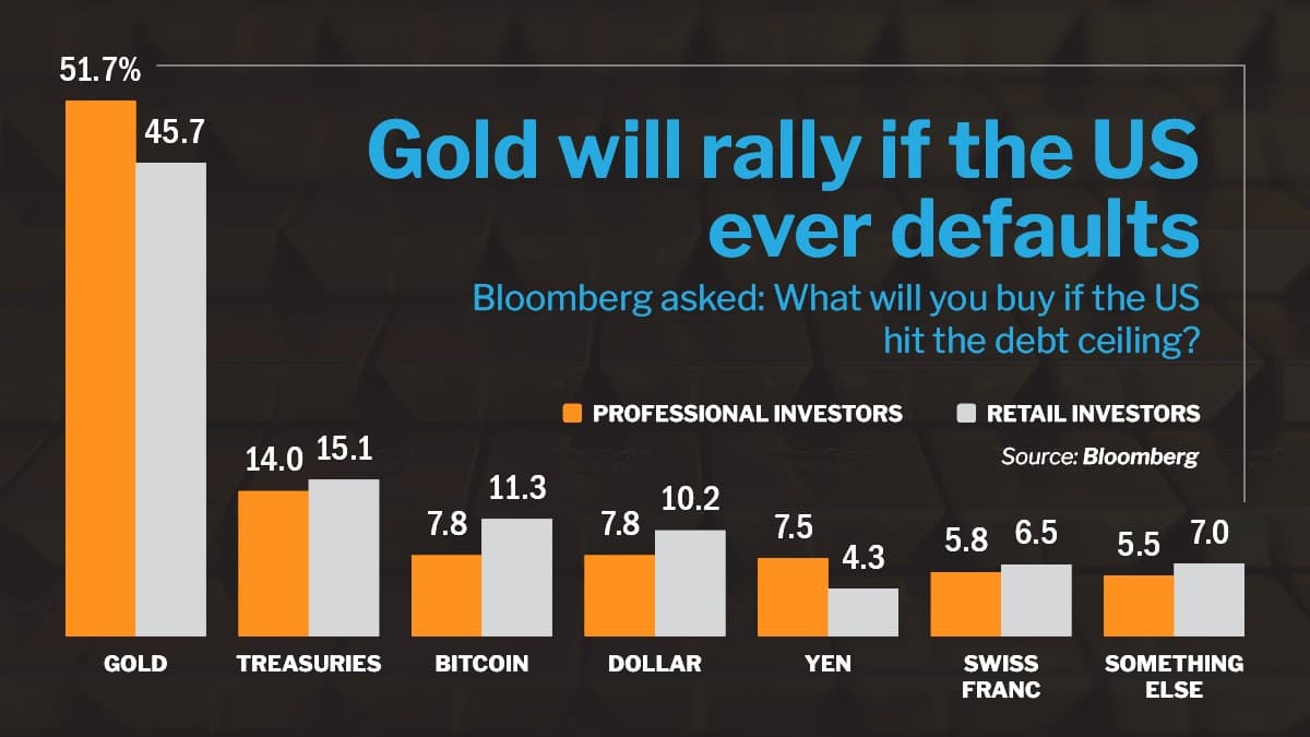 Gráfico de barras naranjas y grises sobre fondo oscuro: «Gold will rally if the US ever defaults», con lo que comprarían inversores profesionales y particulares según Bloomberg.